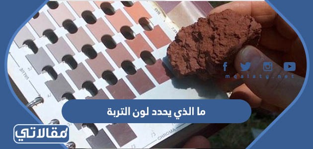 ما الذي يحدد لون التربة