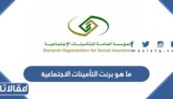 ما هو برنت التأمينات الاجتماعية وما أهميته