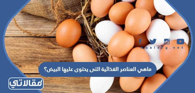 ماهي العناصر الغذائية التى يحتوى عليها البيض؟