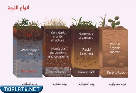 مطوية عن أنواع التربة