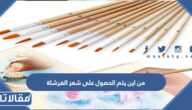 من اين يتم الحصول على شعر الفرشاة