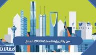 من ركائز رؤية المملكة ٢٠٣٠ المناخ