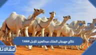 نتائج مهرجان الملك عبدالعزيز للإبل 1444 تويتر