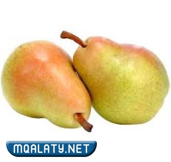وش معنى عرموط