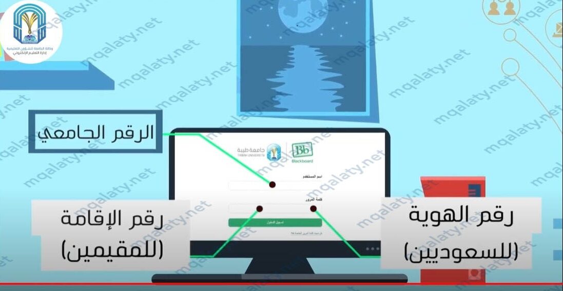 تسجيل الدخول لطلاب جامعة طيبه بلاك بورد