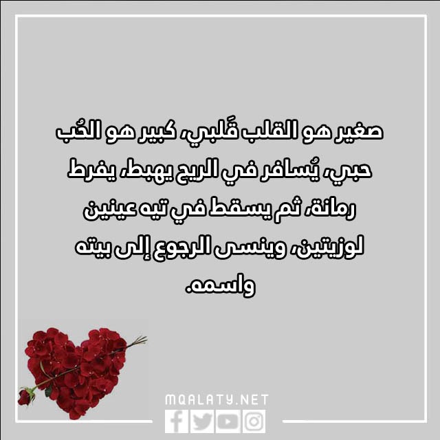 أجمل عبارات فالنتاين