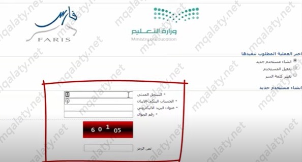 إدخال البيانات التالية