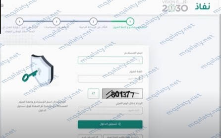 النفاذ الوطني