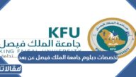 تخصصات دبلوم جامعة الملك فيصل دبلوم عن بعد 1447