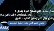 كلمات تدري وش اللي يدبل الكبد ويشين ورابط التحميل