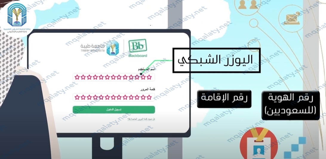 تسجيل الدخول لأعضاء هيئة تدريس جامعة طيبه بلاك بورد