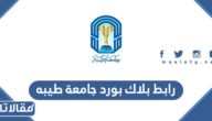 رابط بلاك بورد جامعة طيبه taibahu.edu.sa