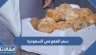 كم سعر الفقع في السعودية 2025