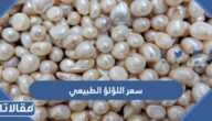 كم سعر اللؤلؤ الطبيعي واين يباع