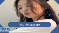 صور جيني بلاك بينك png بجودة عالية
