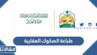طريقة طباعة الصكوك العقارية 2023 إلكترونيًا
