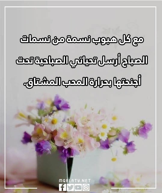 عبارات صباحية تويتر