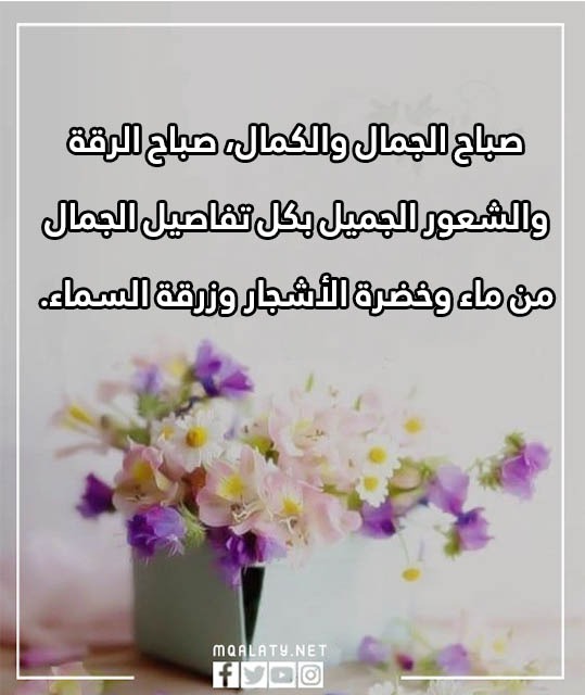 أجمل عبارات صباحية قصيرة 2023
