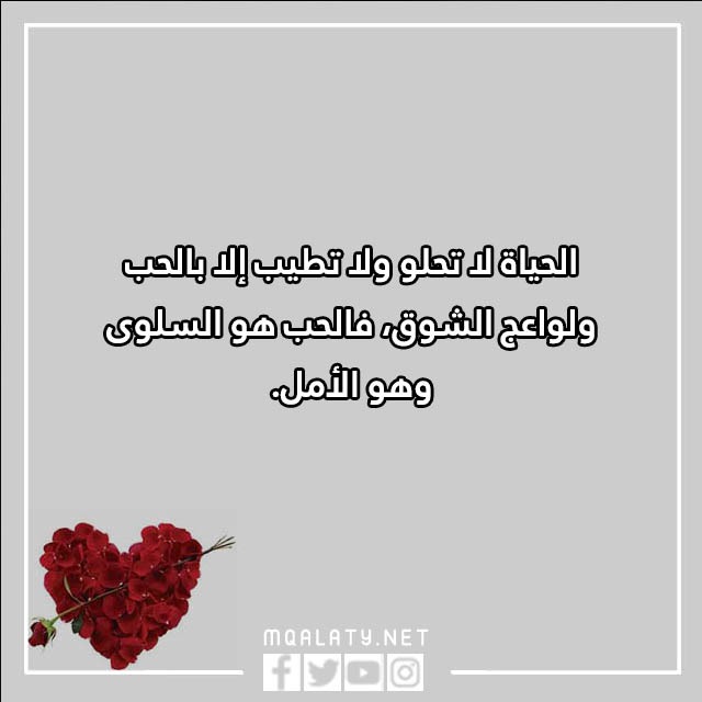 عبارات عن يوم الحب بالصور