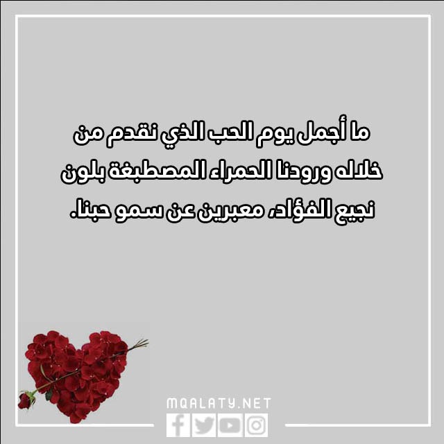 كلام عن عيد الحب بالعامية