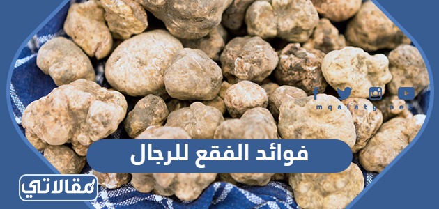 فوائد الفقع للرجال