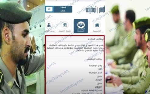 قائمة ببيانات الوظيفة