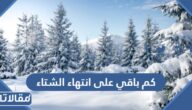 كم باقي على انتهاء الشتاء في السعودية 1444