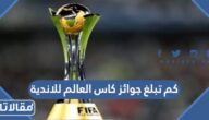 كم تبلغ جوائز كاس العالم للاندية