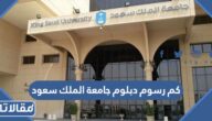 كم رسوم دبلوم جامعة الملك سعود 1447 بالريال السعودي