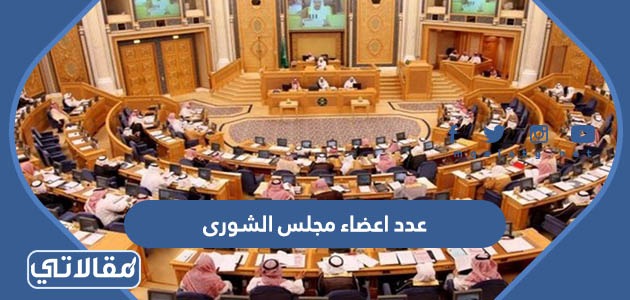 كم عدد اعضاء مجلس الشورى