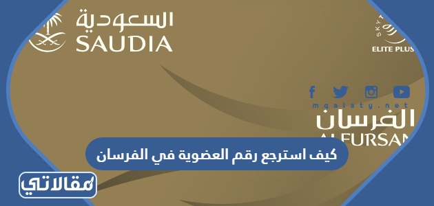 كيف استرجع رقم العضوية في الفرسان