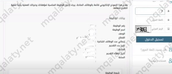 بيانات الوظيفة