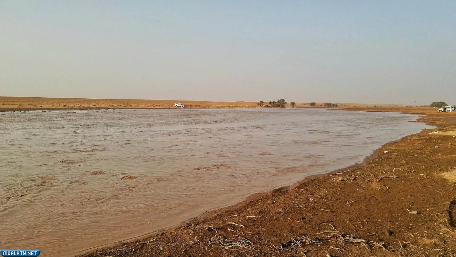 شعيب السهل بالصور
