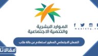 الضمان الاجتماعي المطور استعلام عن حالة طلب بالخطوات