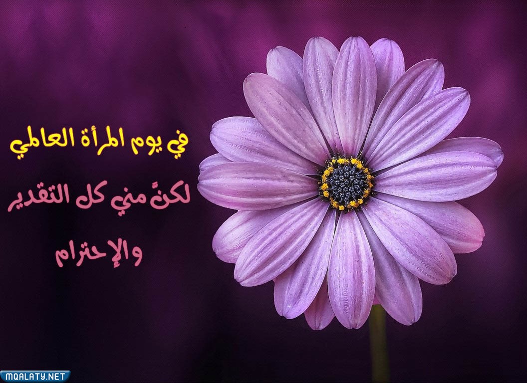 بطاقات تهنئة يوم المرأة العالمي