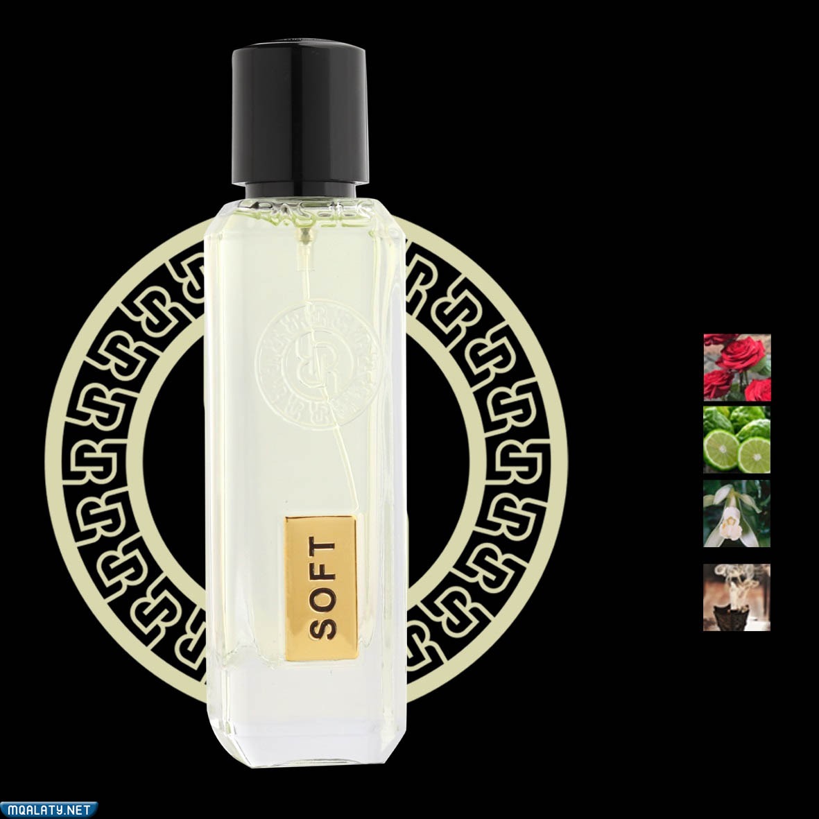 أفضل عطور رسيس للرجال مع الاسعار