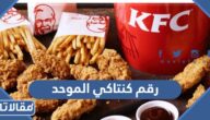 رقم كنتاكي الموحد المجاني وطرق التواصل