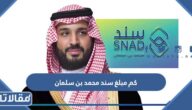 كم مبلغ سند محمد بن سلمان 1447 وشروط الاستفادة