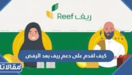كيف اقدم على دعم ريف بعد الرفض بالخطوات التفصيلية