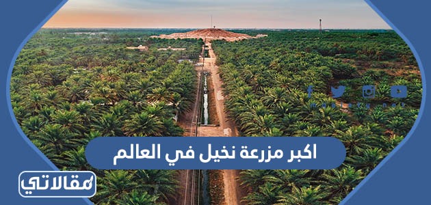 اكبر مزرعة نخيل في العالم