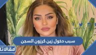 سبب دخول الناشطة الاردنية زين كرزون السجن