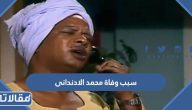 سبب وفاة الفنان المصري محمد الادندانى