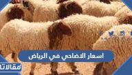 اسعار الاضاحي في الرياض 2025- 1446