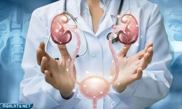 افضل دكتور امراض ذكورة في سليمان فقيه