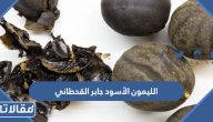 الليمون الأسود جابر القحطاني (فوائد + اضرار + طريقة الاستخدام)