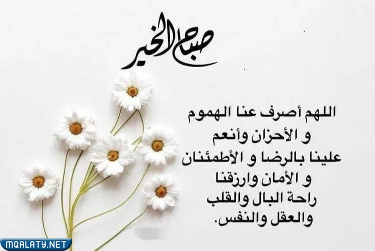 "بطاقات