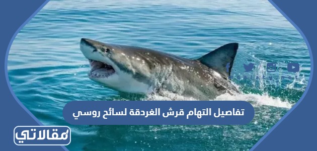 تفاصيل التهام قرش الغردقة لسائح روسي