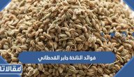 فوائد واضرار النانخة على الصحة جابر القحطاني