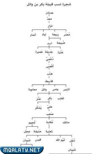 من هو رئيس قبيلة بنو بكر ويكيبيديا