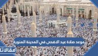 موعد صلاة عيد الاضحى في المدينة المنورة 2023 – 1444